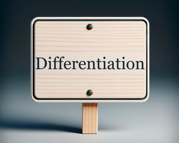 Differentiation in NSB Vacation Rental Management
