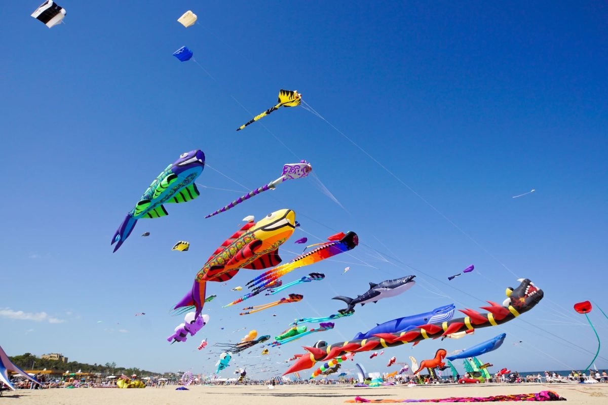 New Smyrna Beach Kite Festival