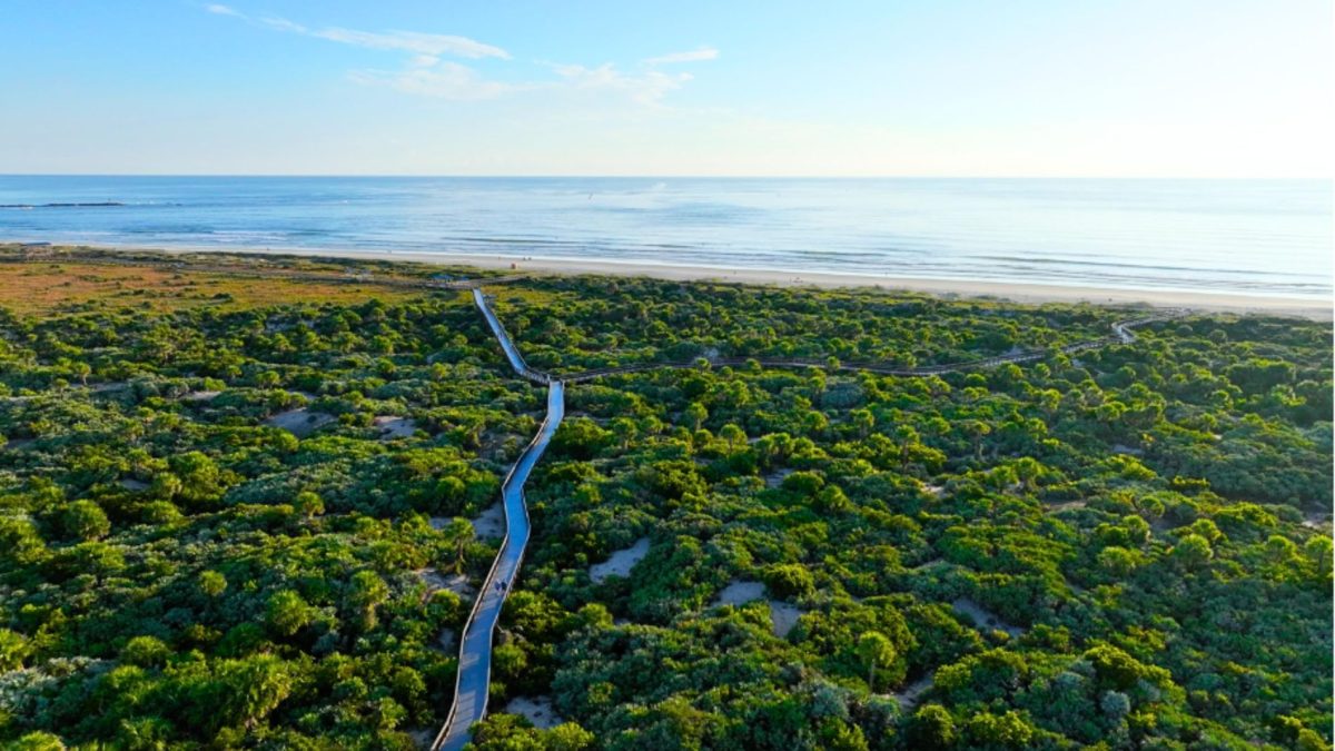 Outdoor Activities in new smyrna beach