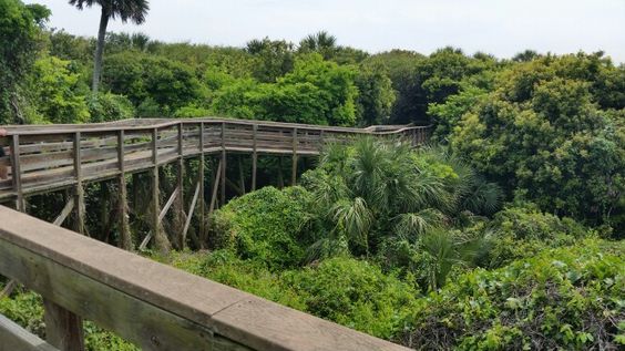 Turtle Mound Attraction in New Smyrna Beach